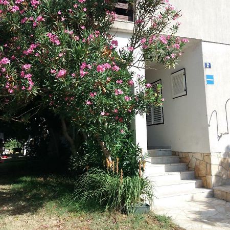 Apartman Nona Povljana Bagian luar foto